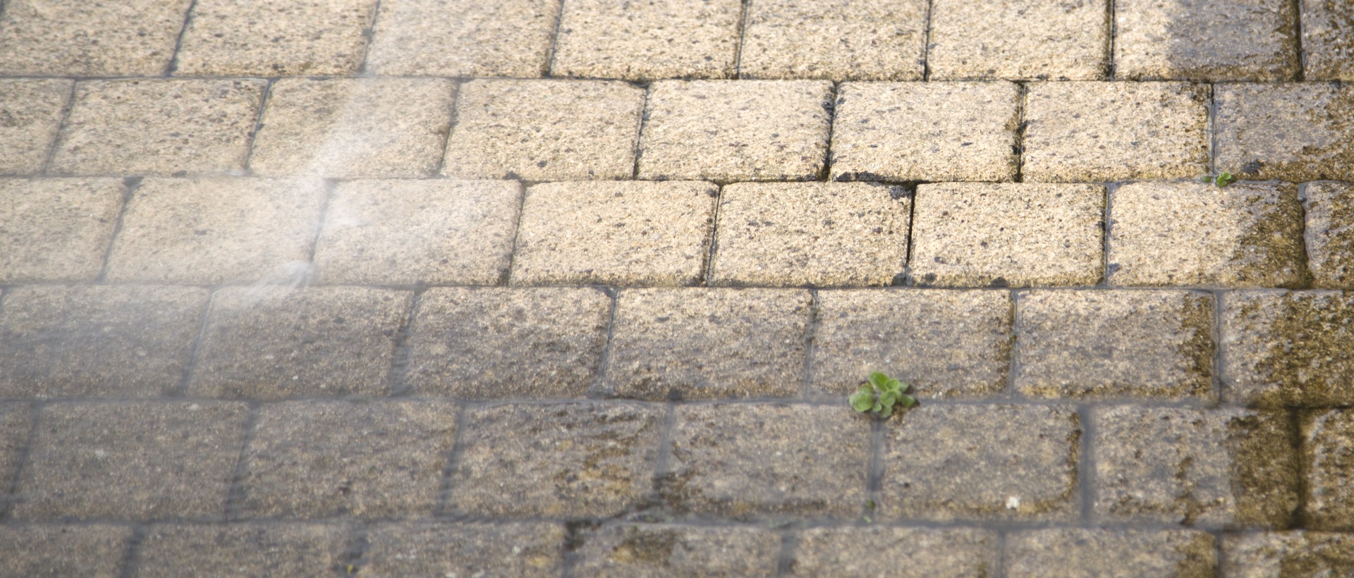 flagging and patios SE9