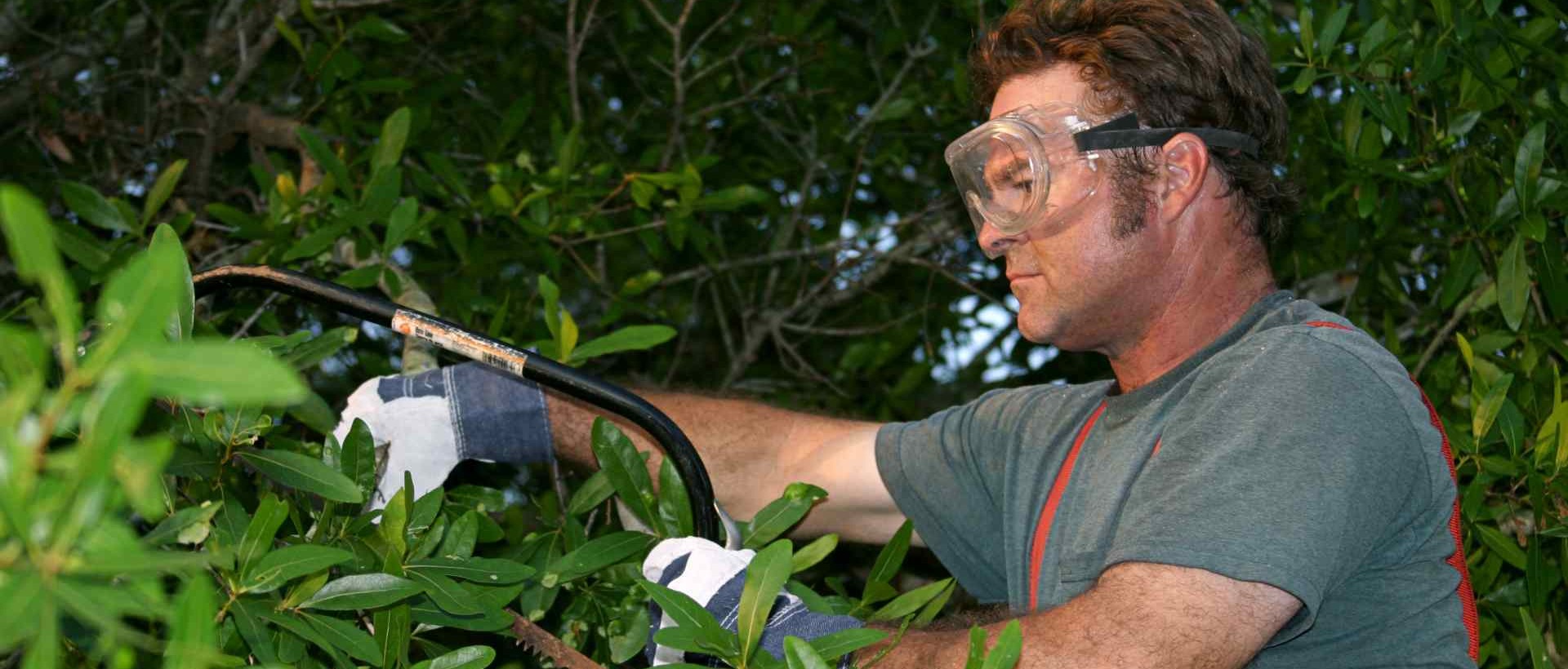 garden clearance SE9